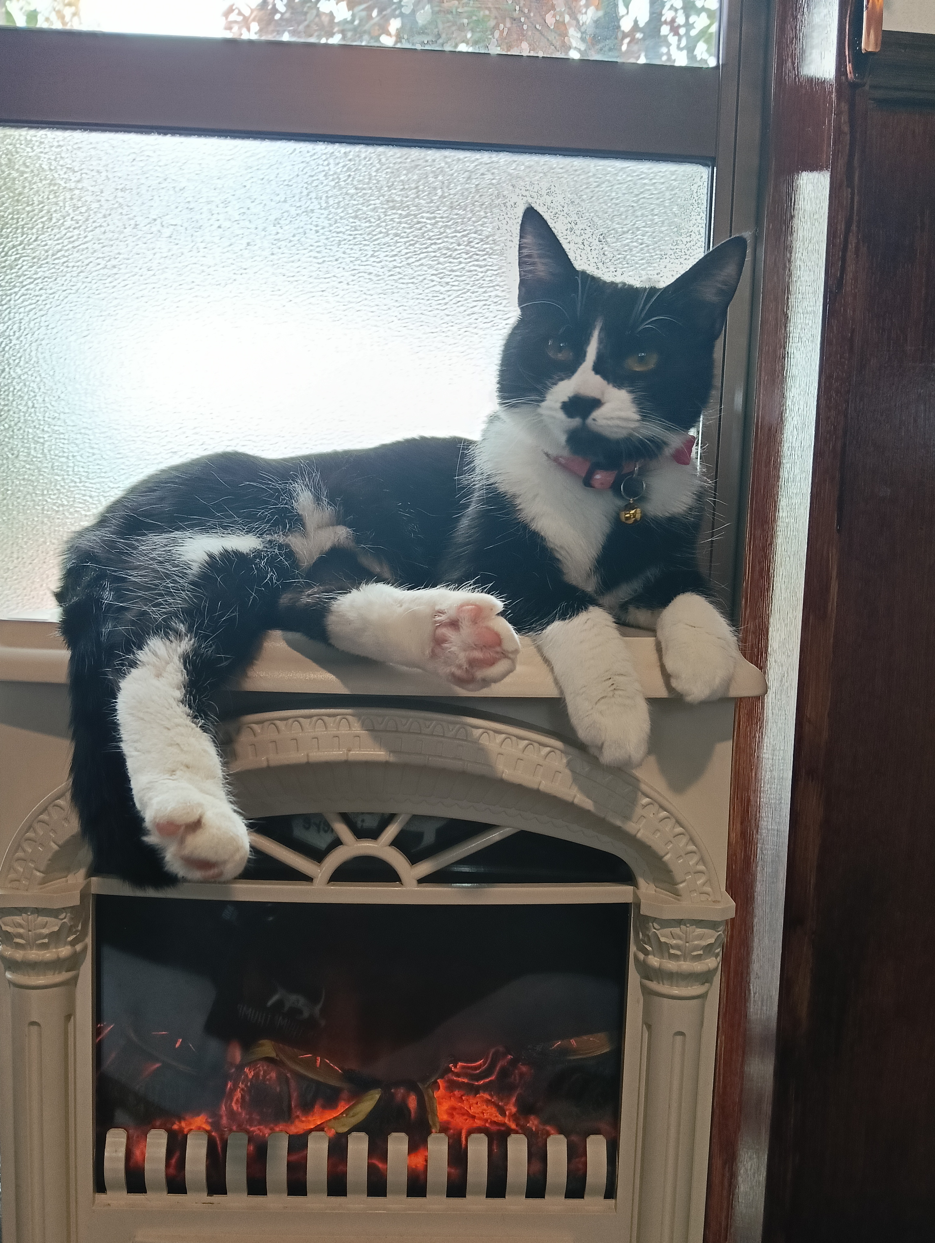 11月13日(定休日)