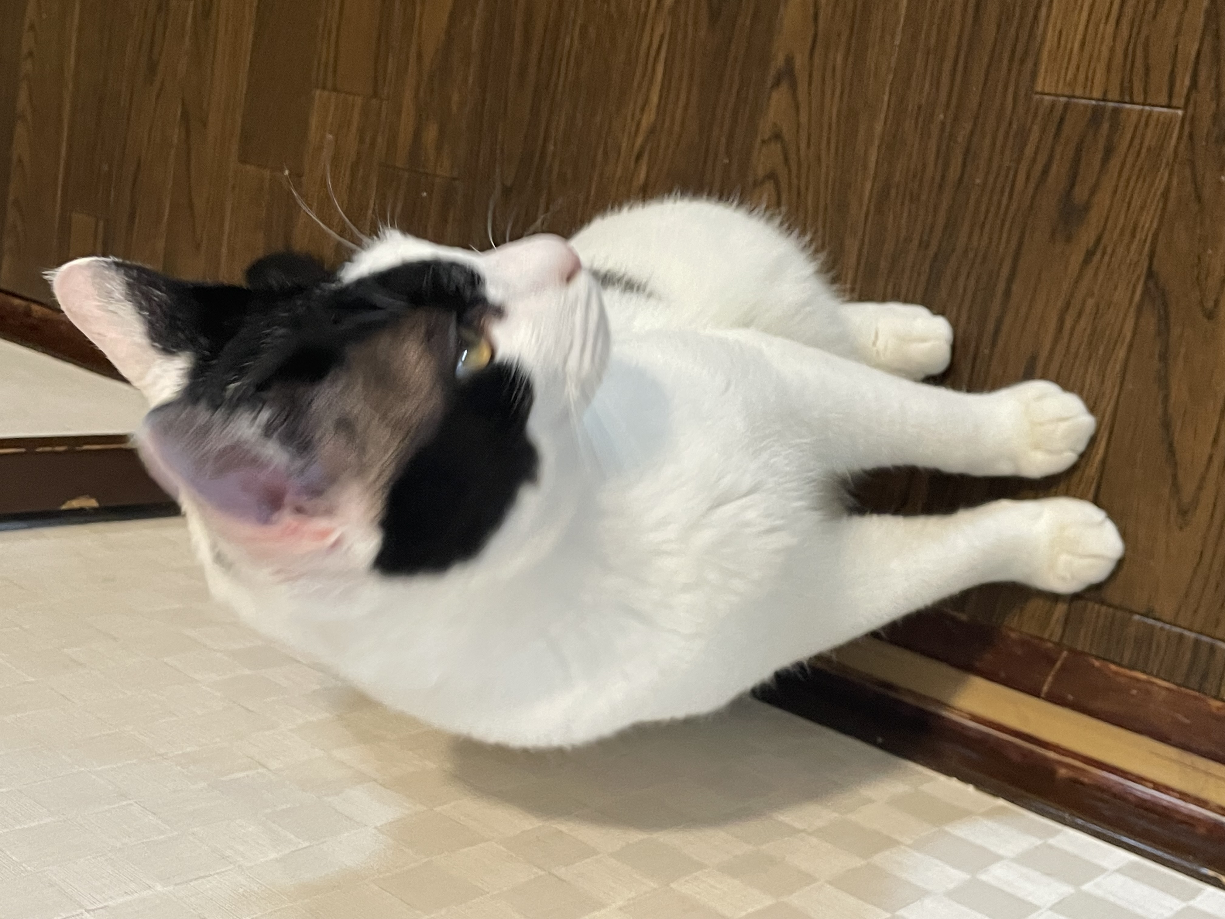 6月18日(定休日)