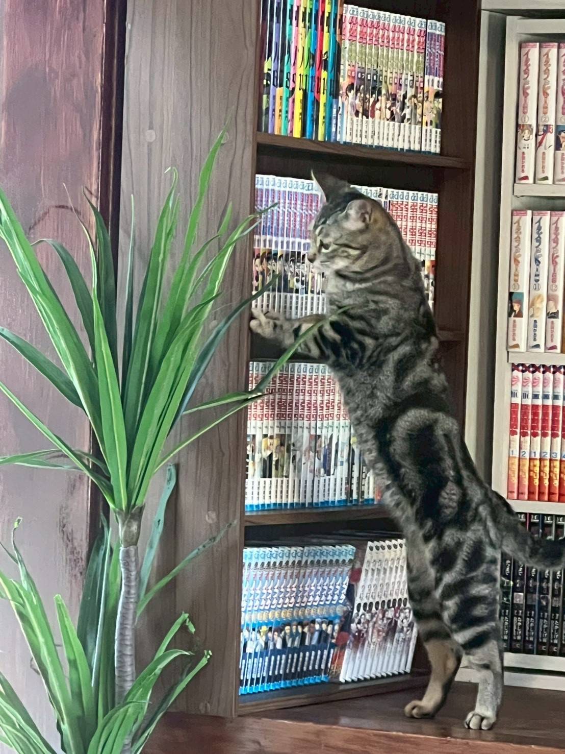 6月10日