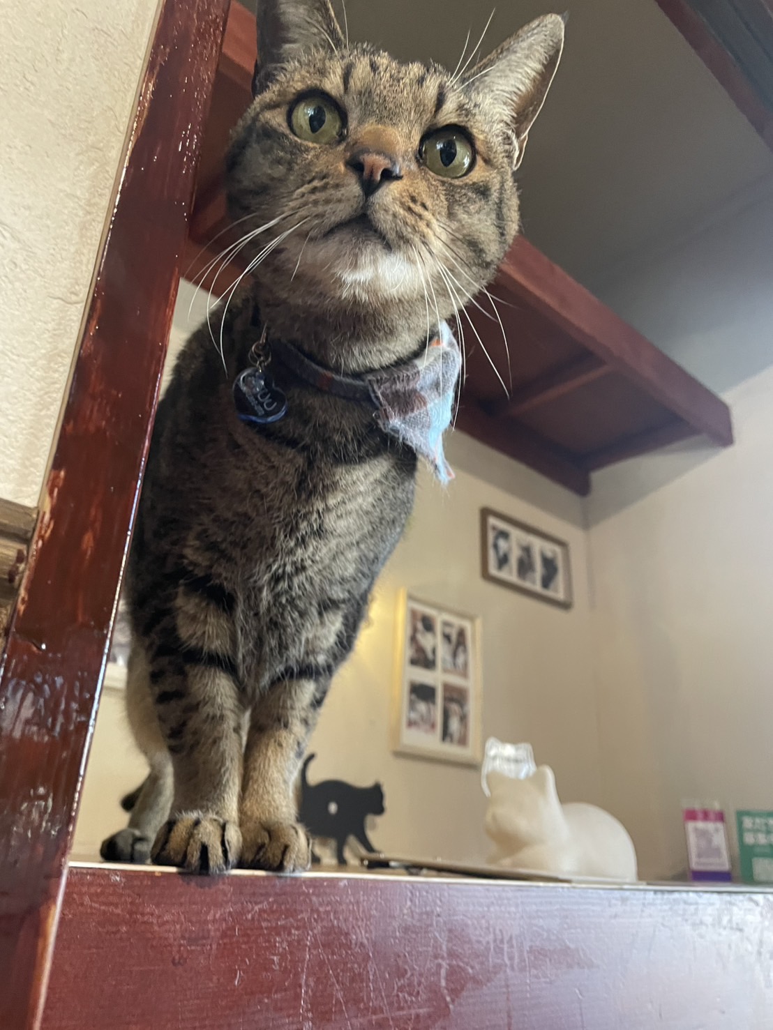 2月16日(定休日)