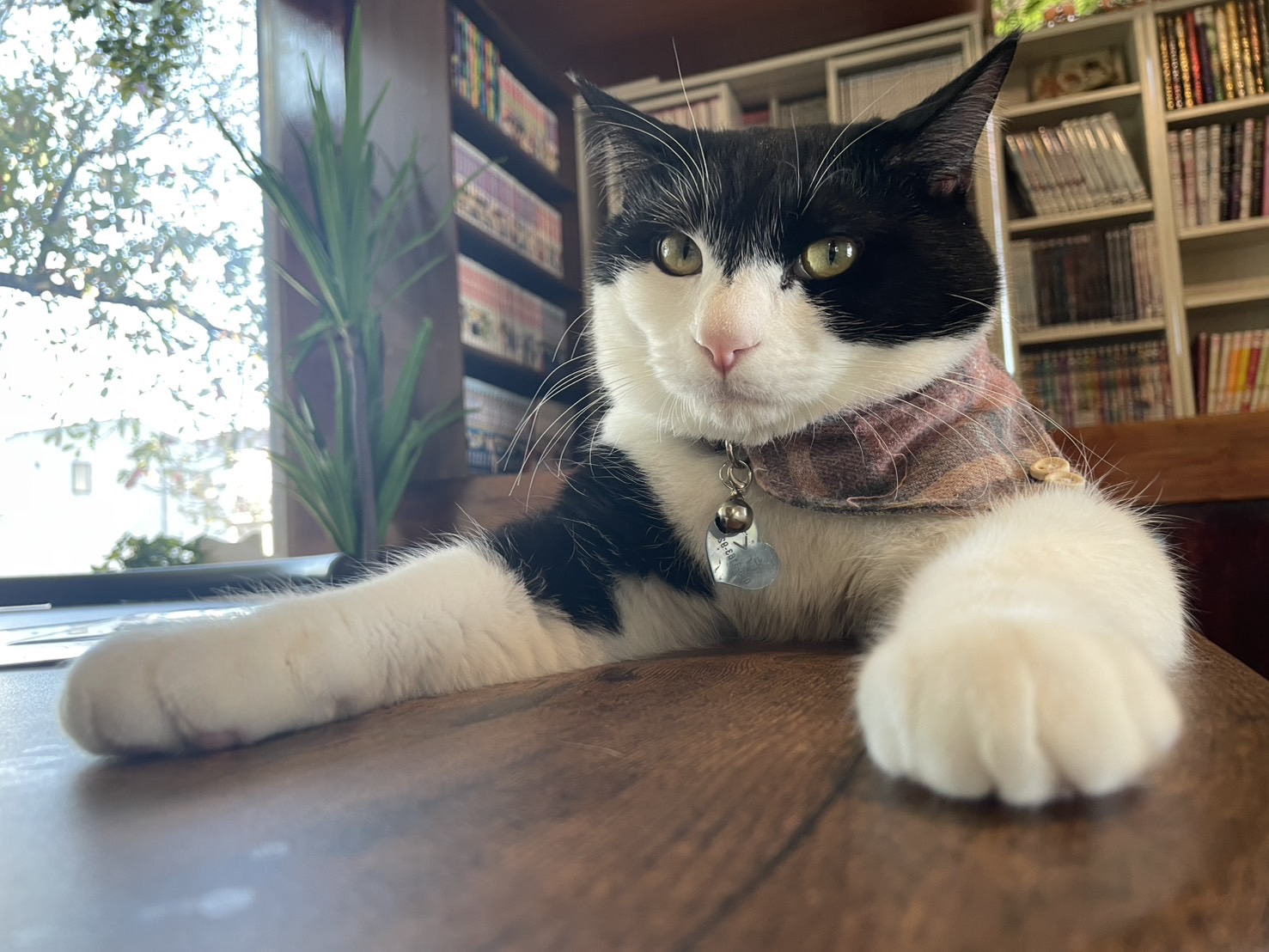 1月29日(定休日)