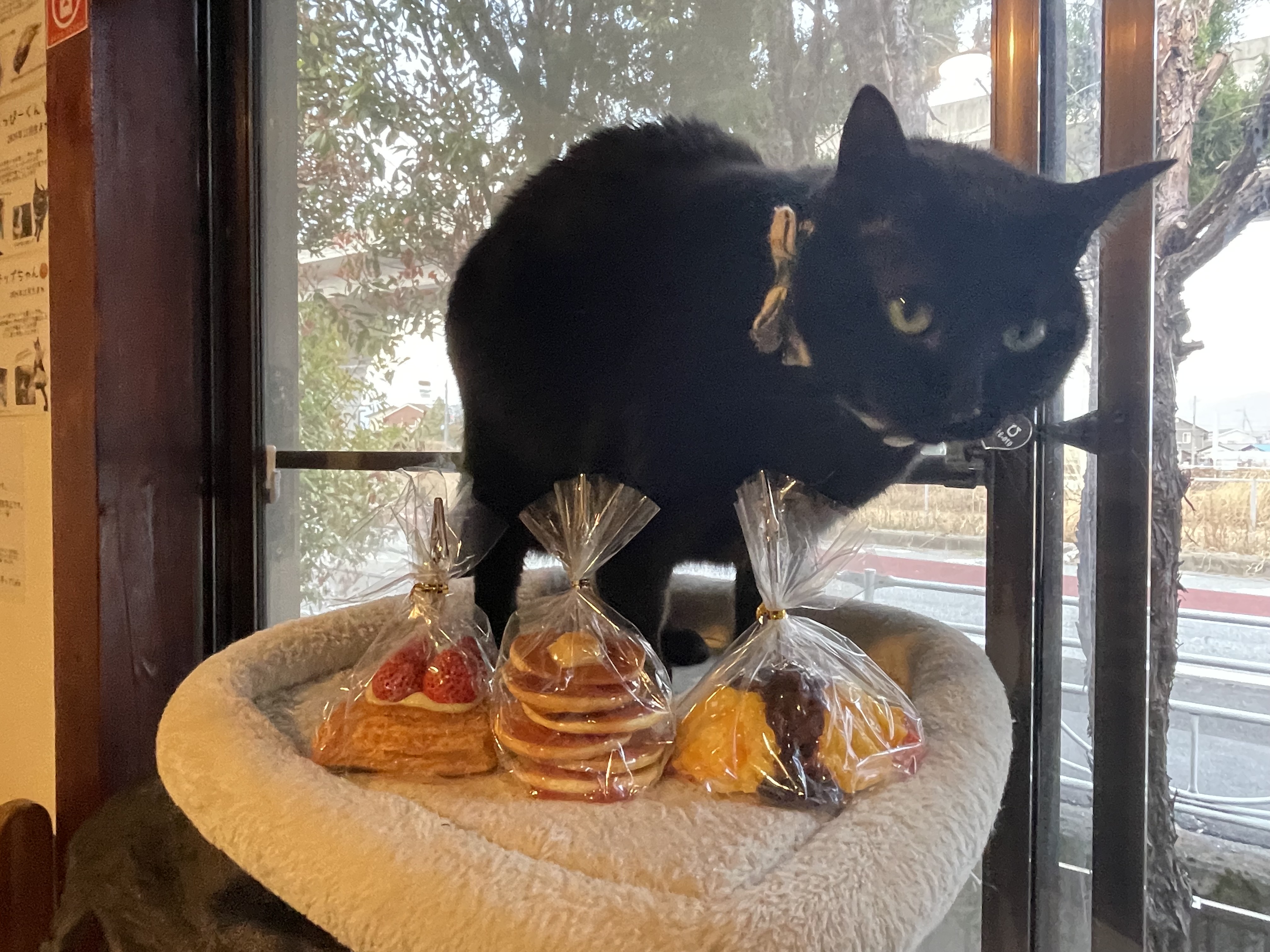 3月30日(定休日)