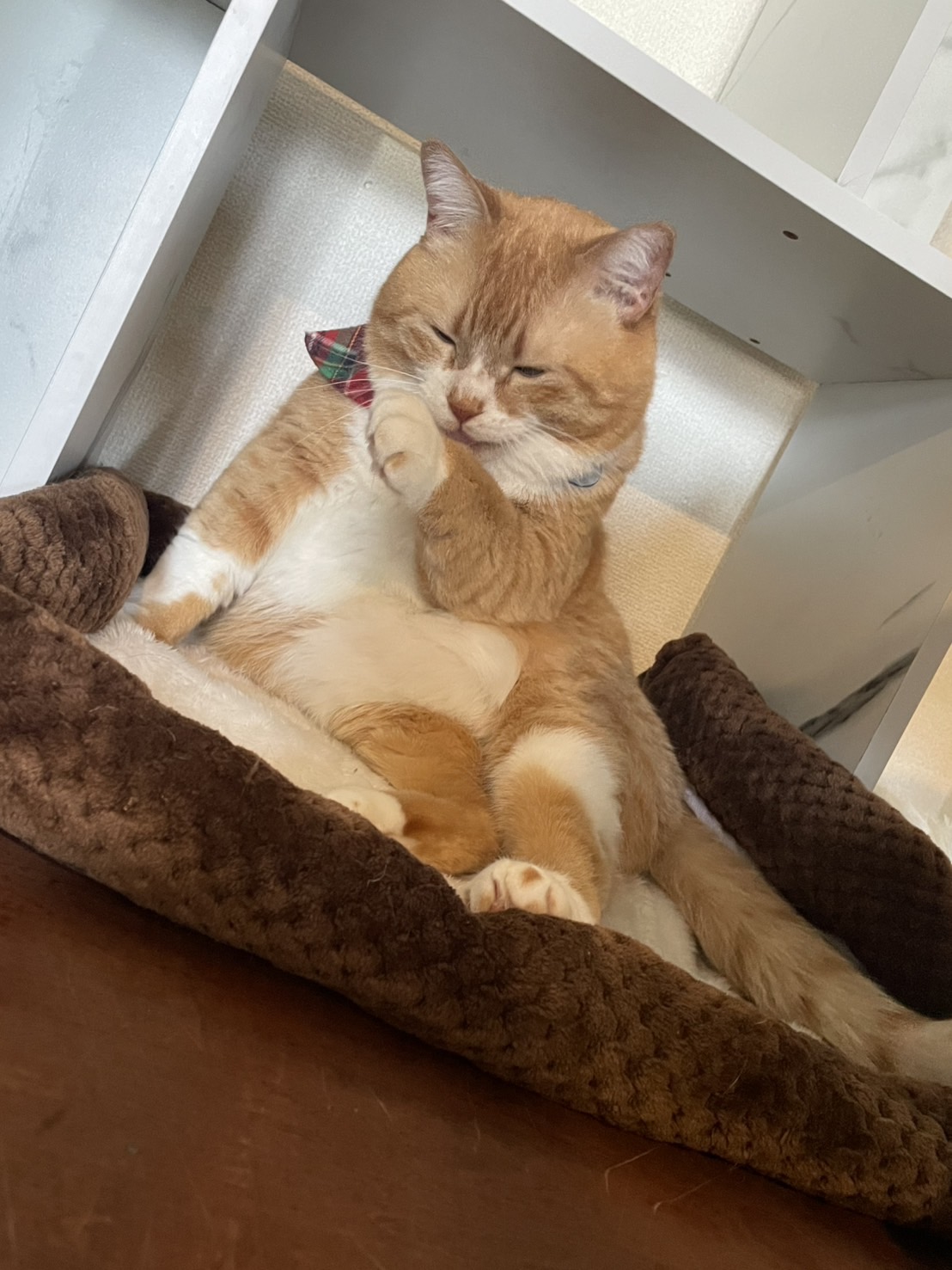 3月24日(お休み)