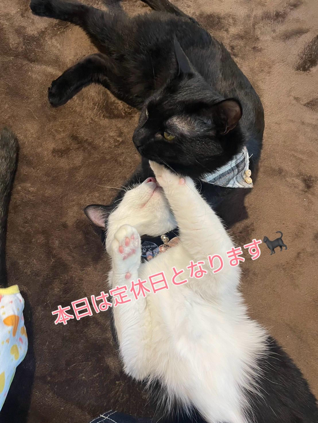 12月18日(定休日)