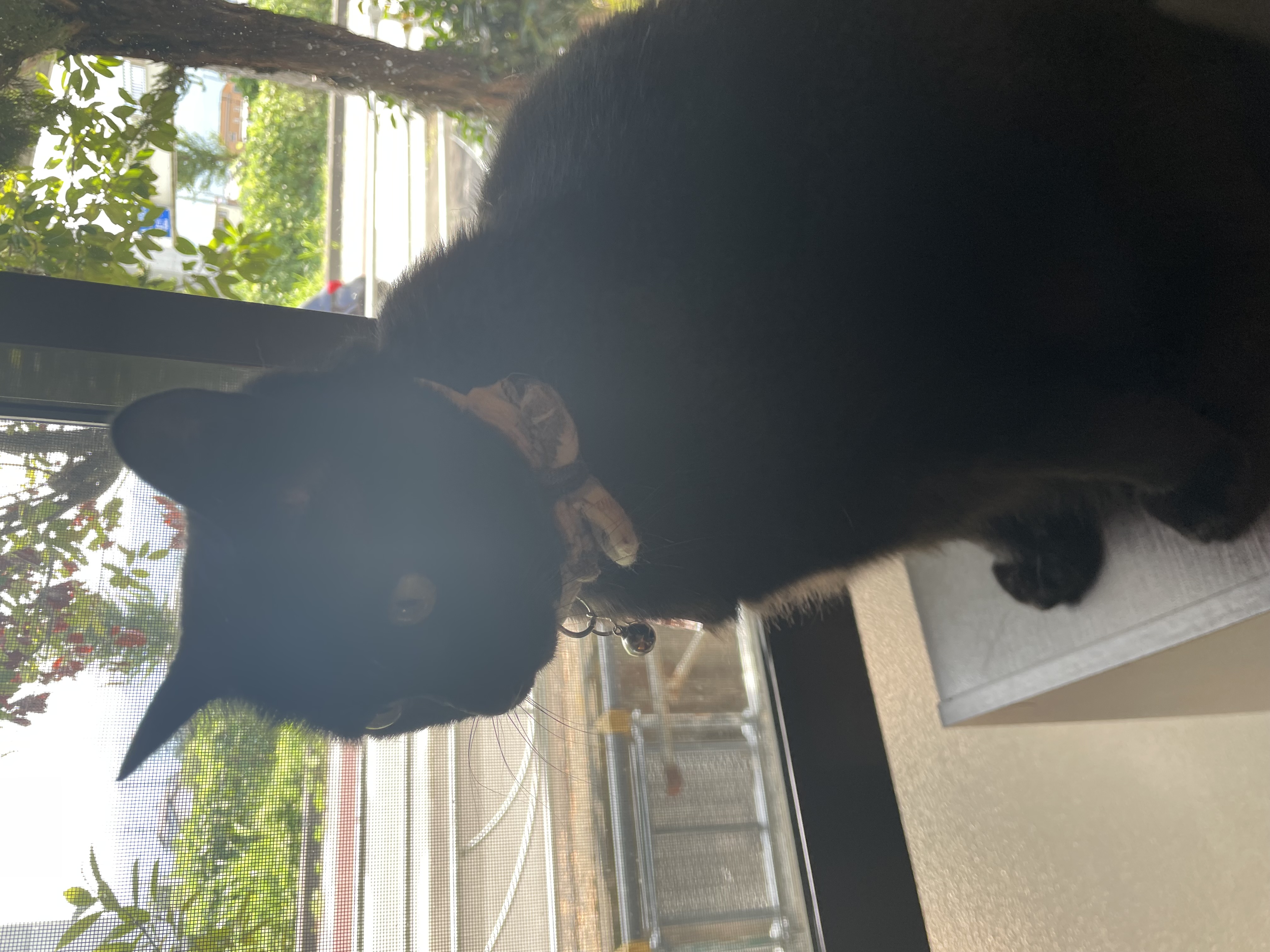 8月25日(お休み)