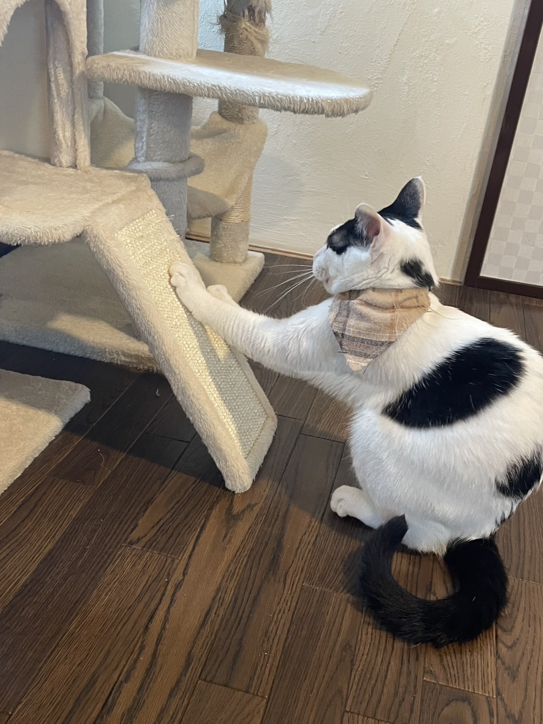 7月12日