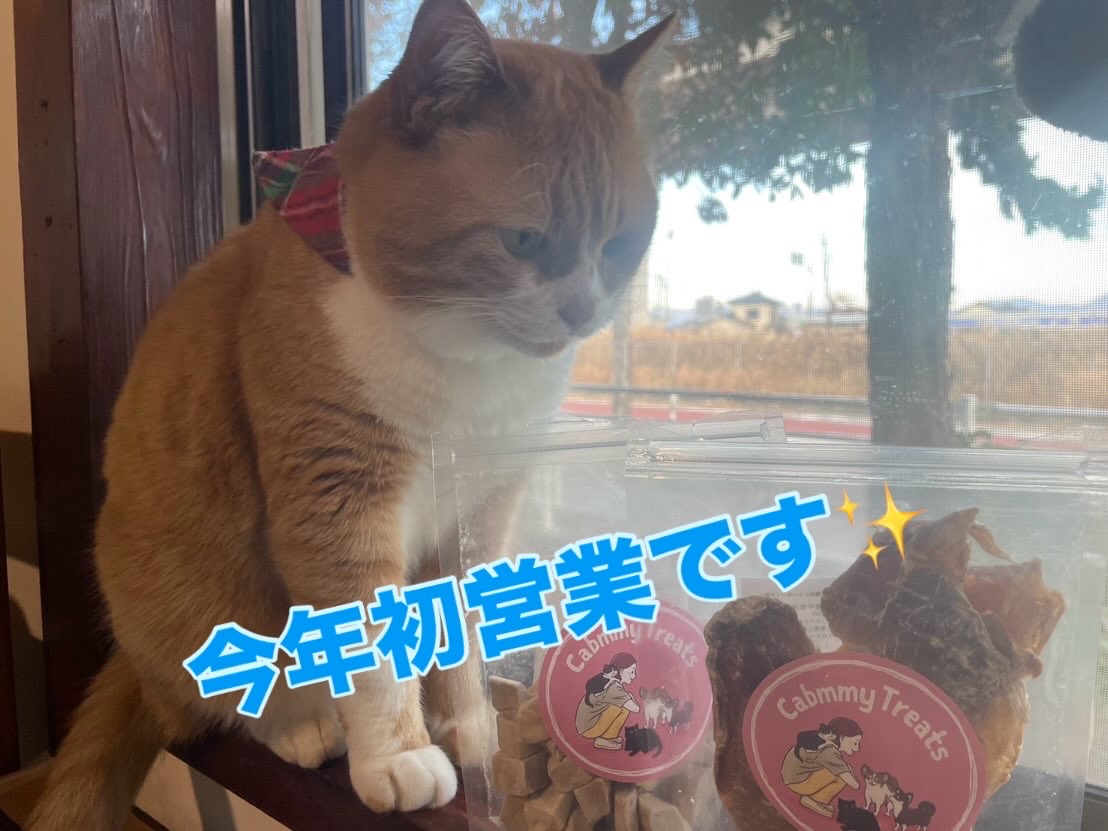 1月3日(時短営業)