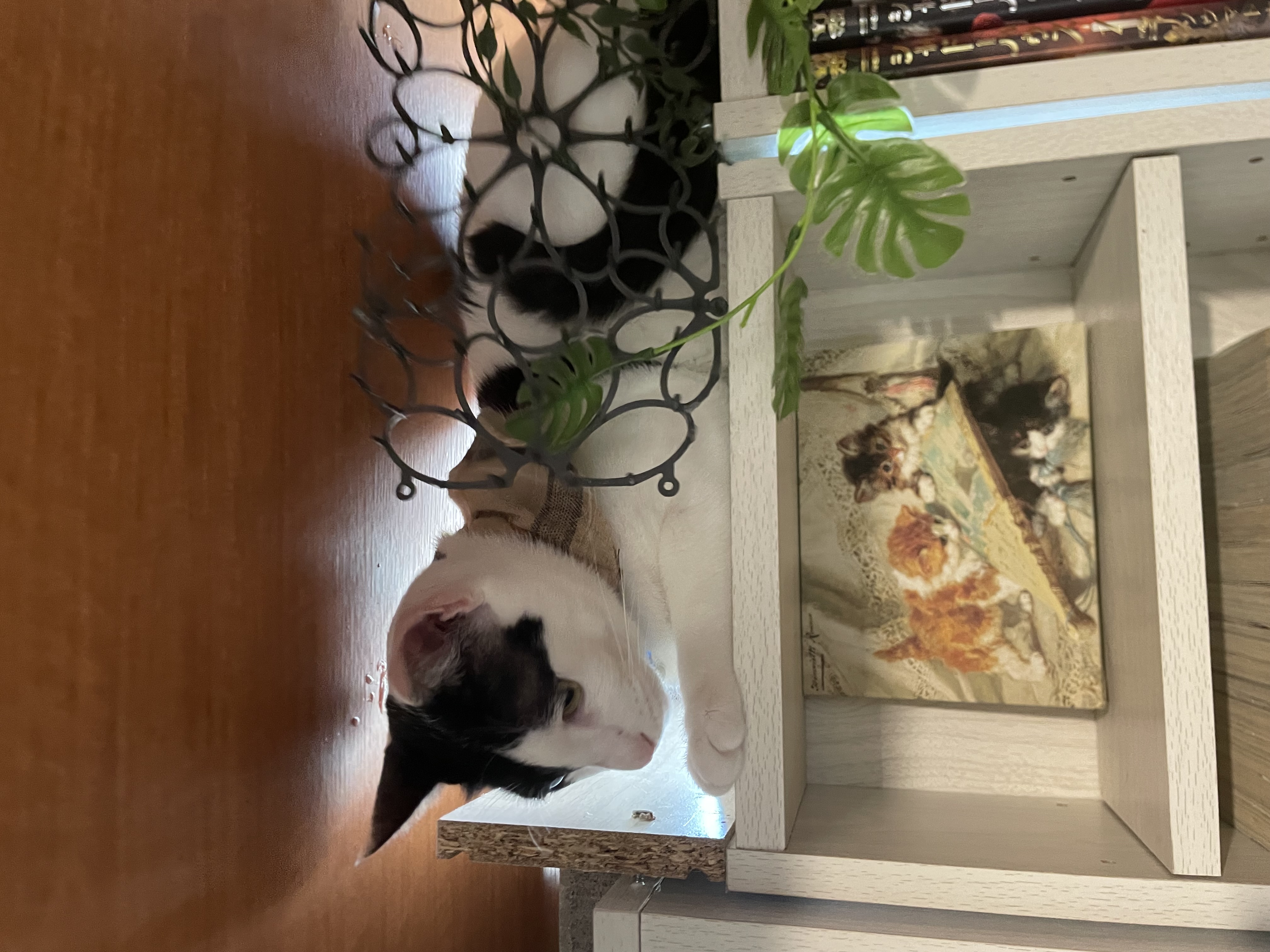 8月30日