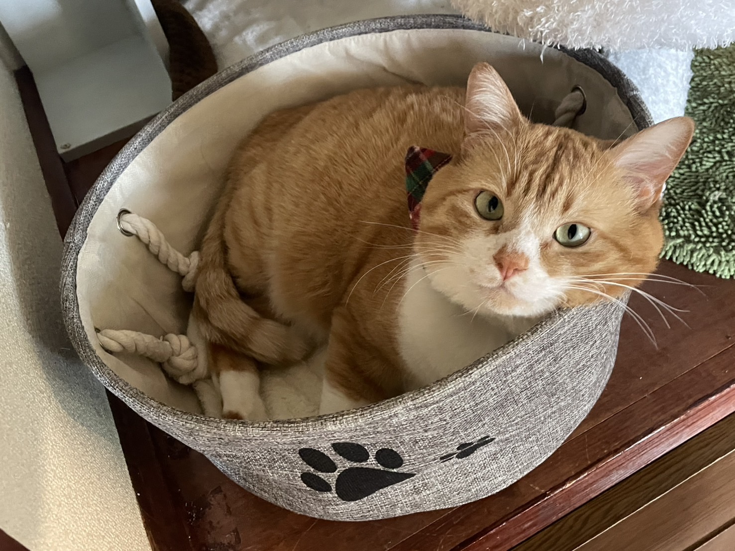 3月16日(定休日)