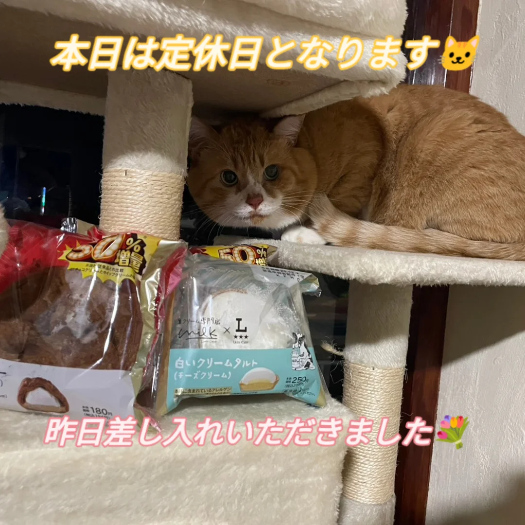 12月1日(定休日)