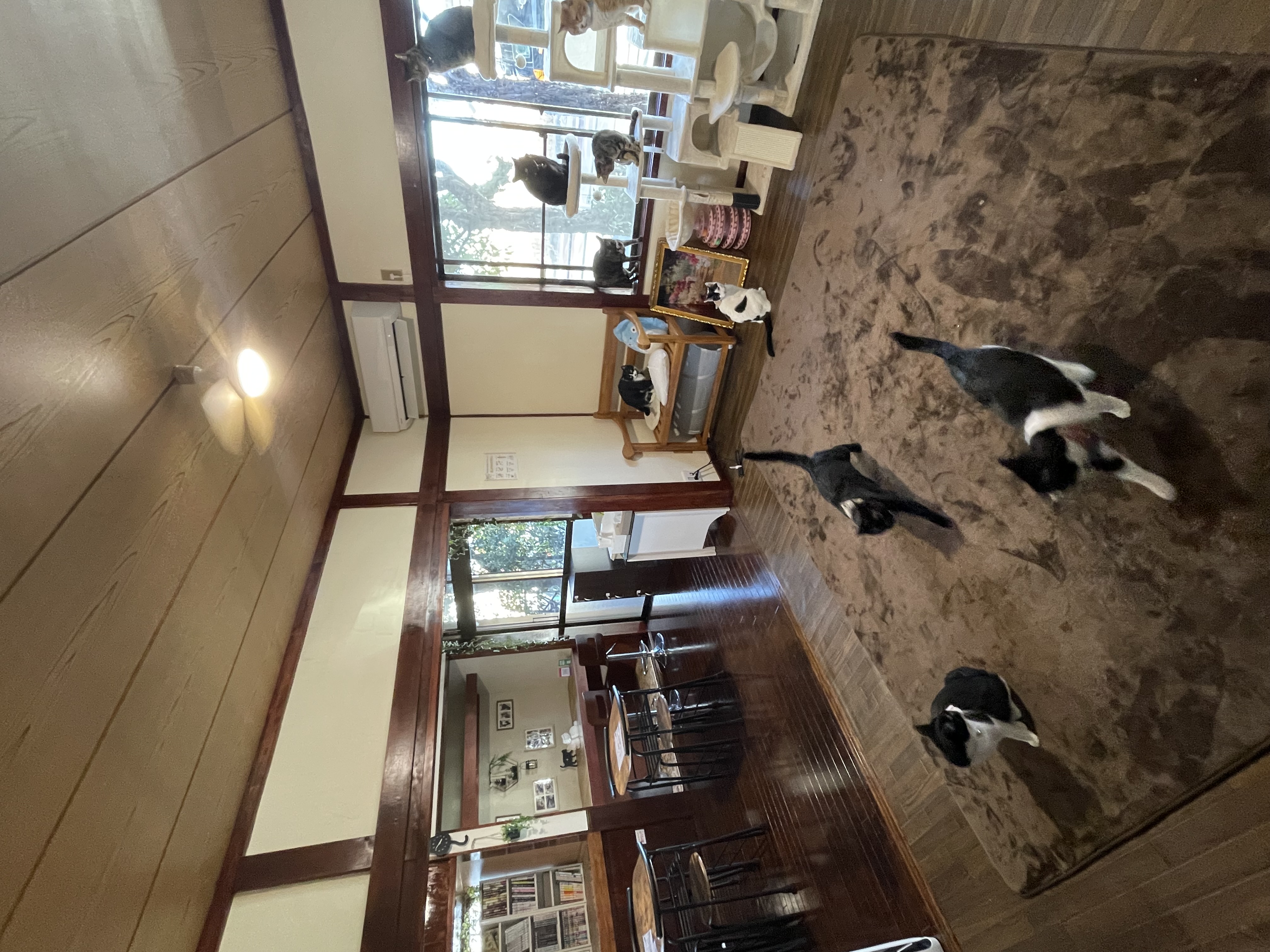 1月22日(定休日)