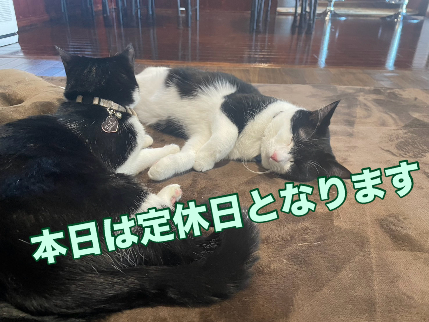 1月19日(定休日)