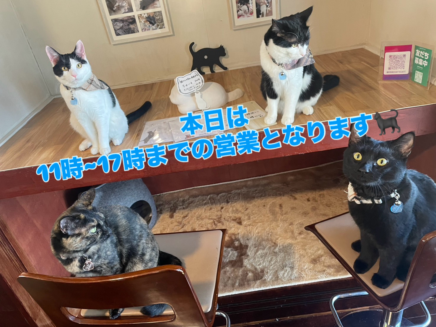 1月11日(時短営業)