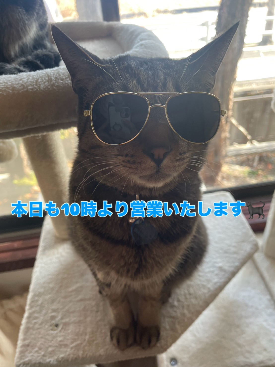 1月18日(時短営業)