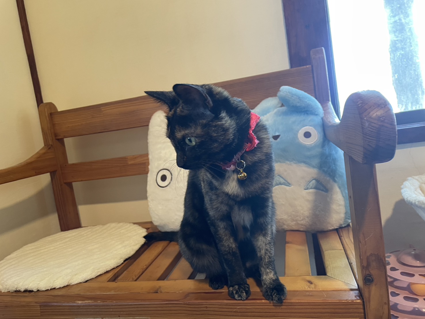 11月17日(定休日)