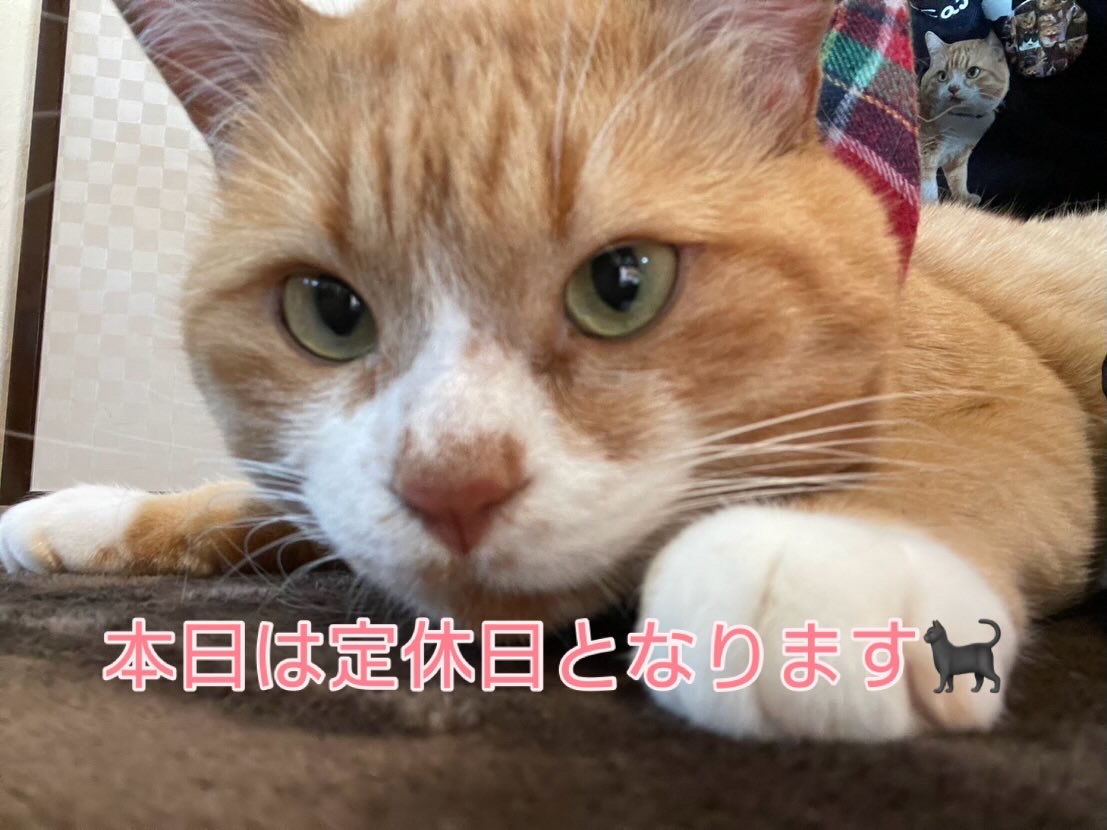 12月15日(定休日)