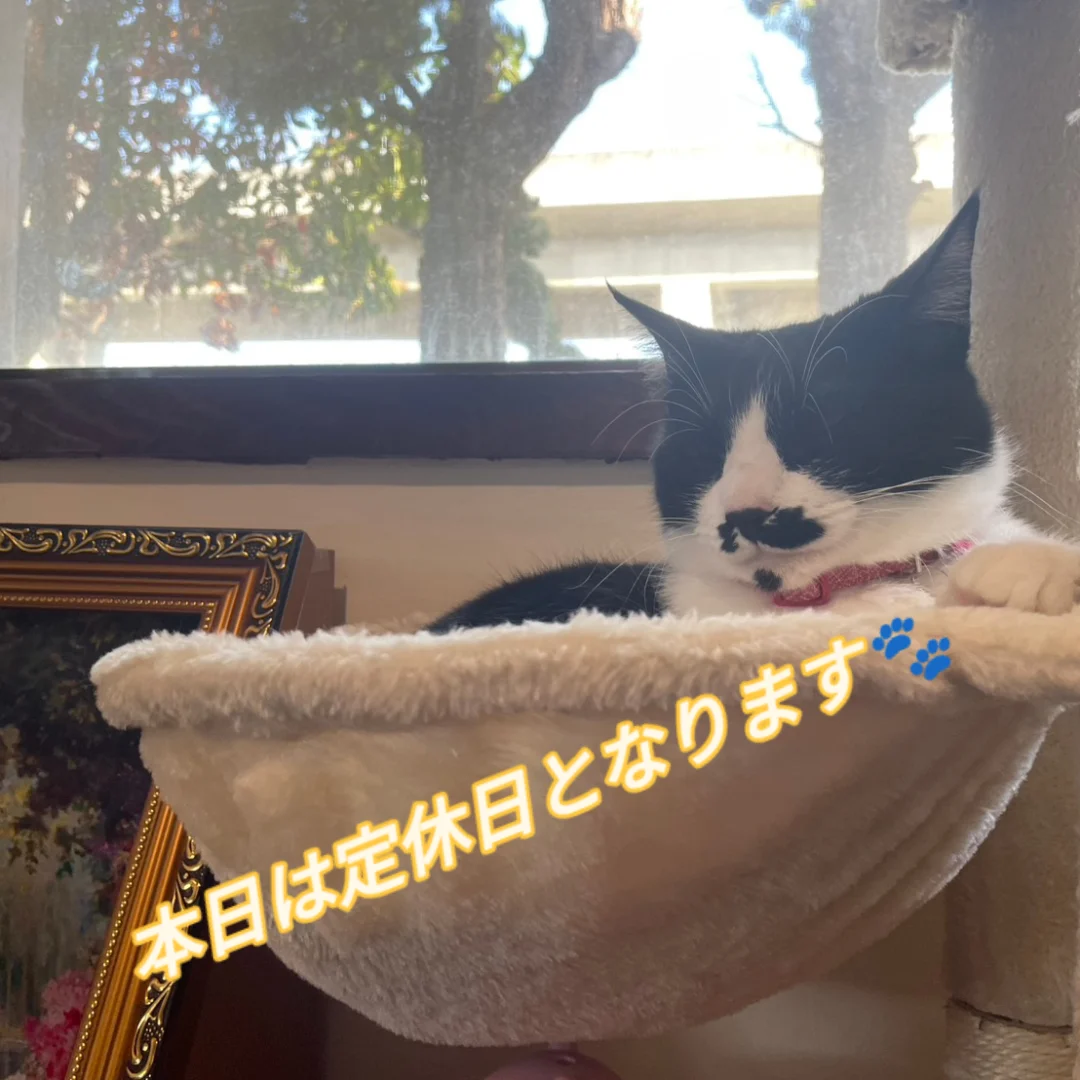 12月6日(臨時休業)