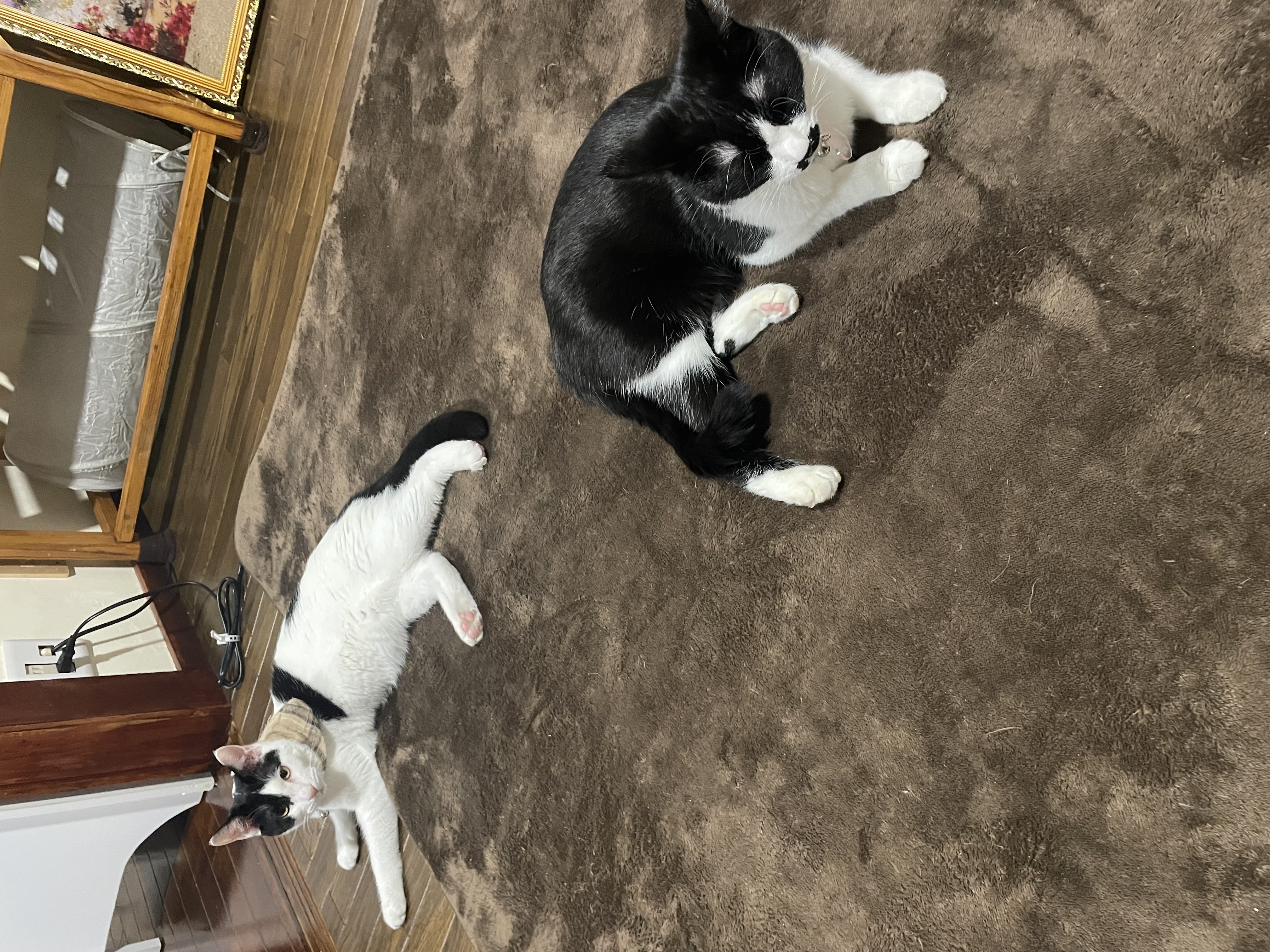 2月19日(定休日)