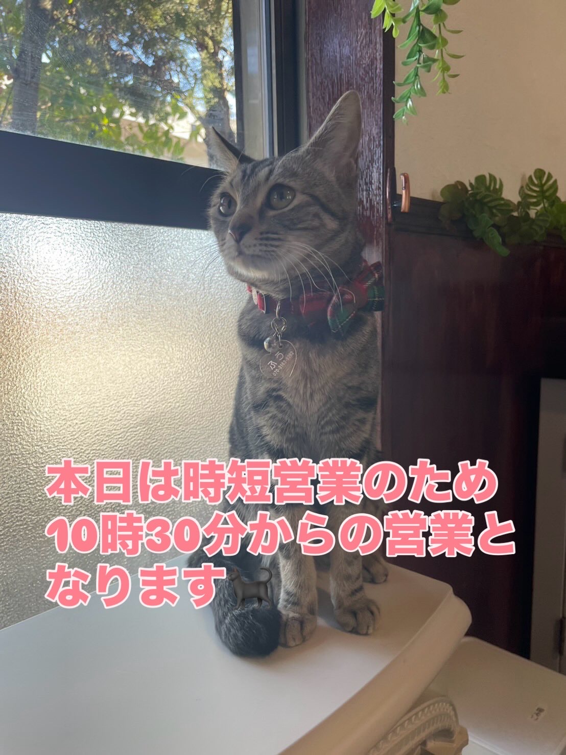 12月29日(時短営業)