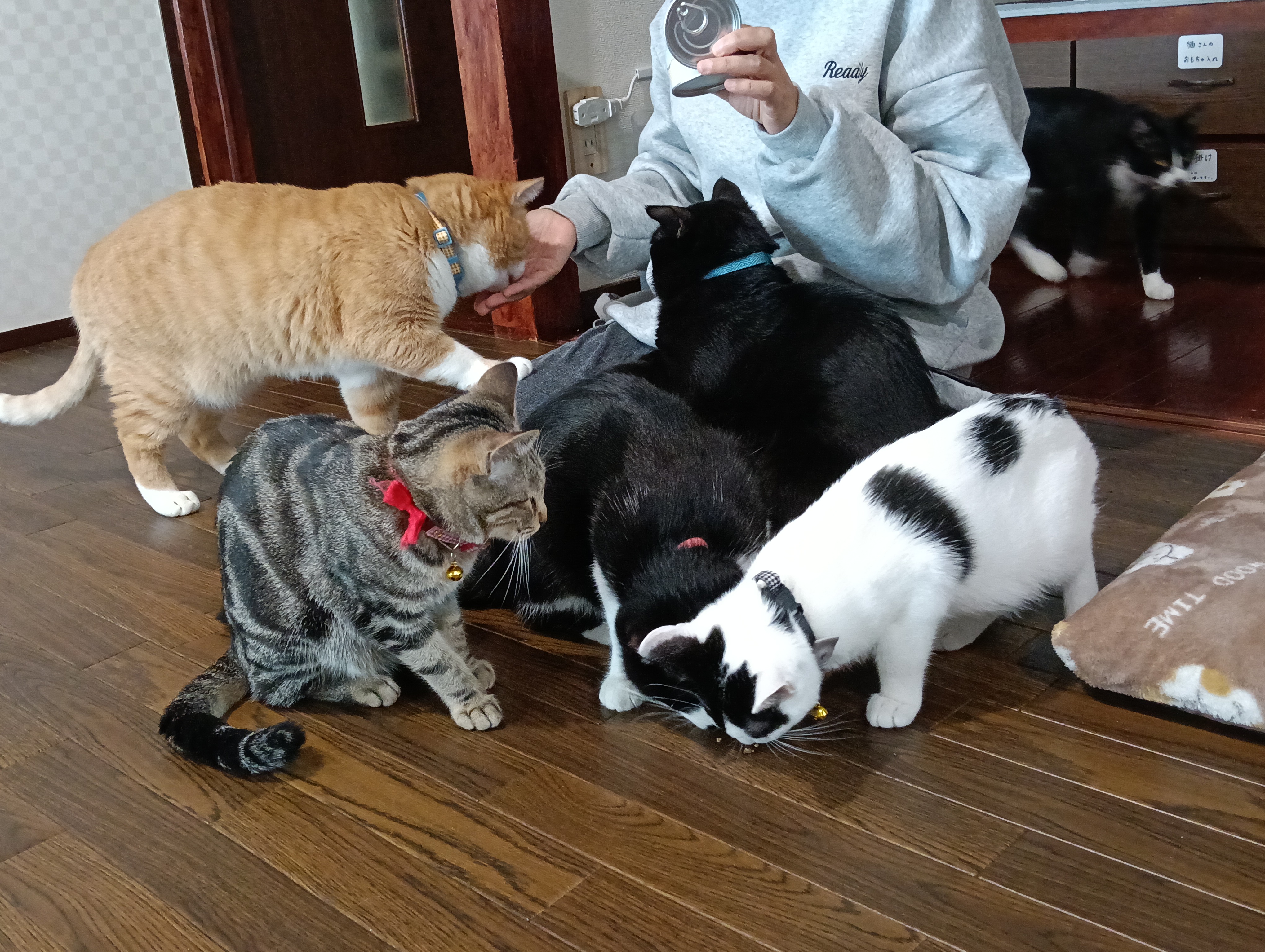 11月6日(定休日)