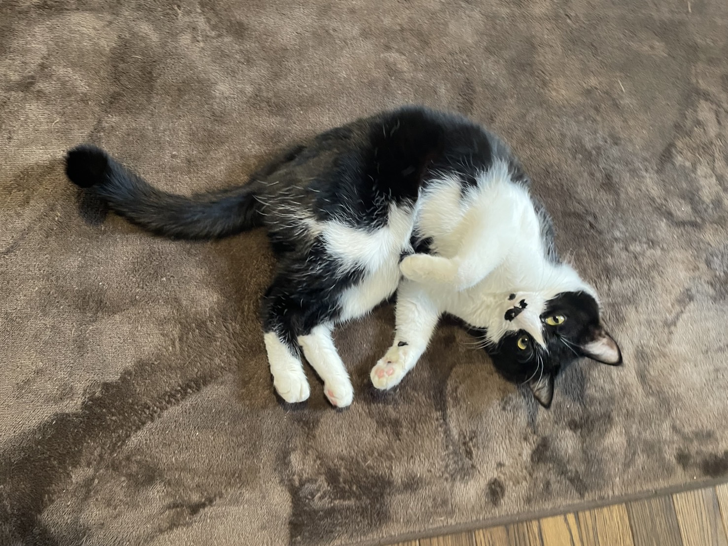 2月12日(定休日)