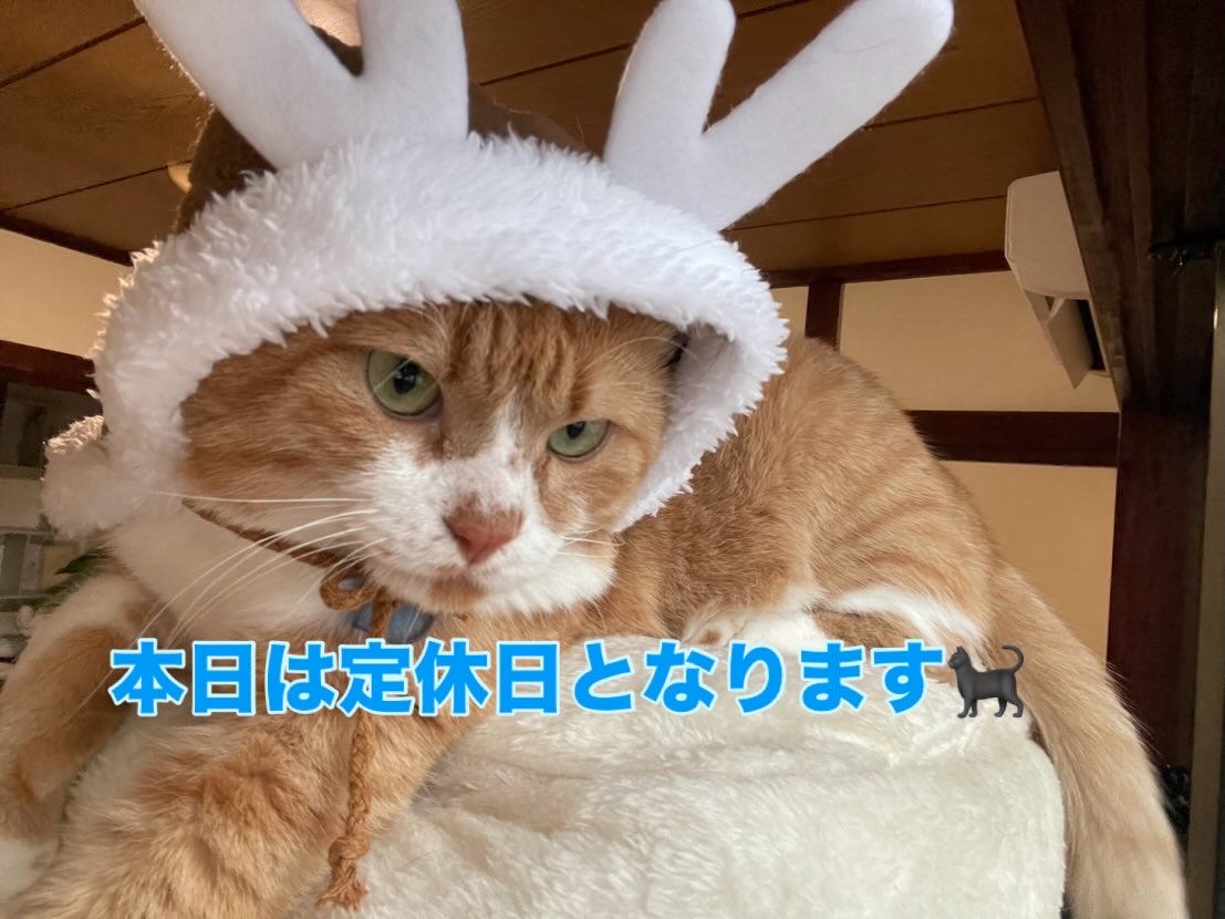 12月25日(定休日)