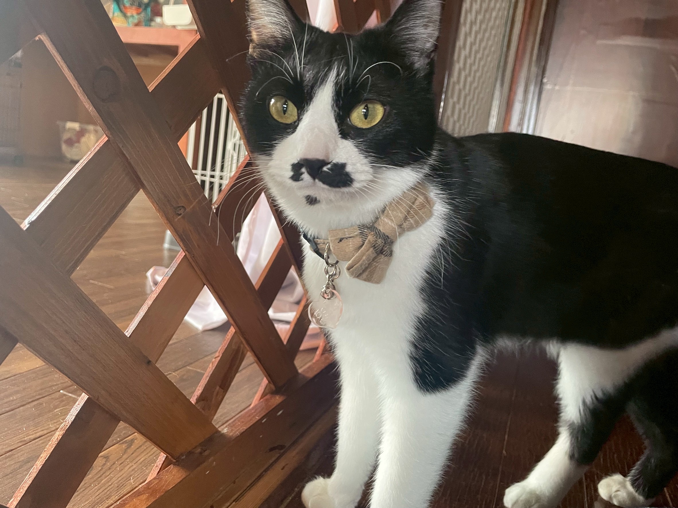 3月25日(お休み)