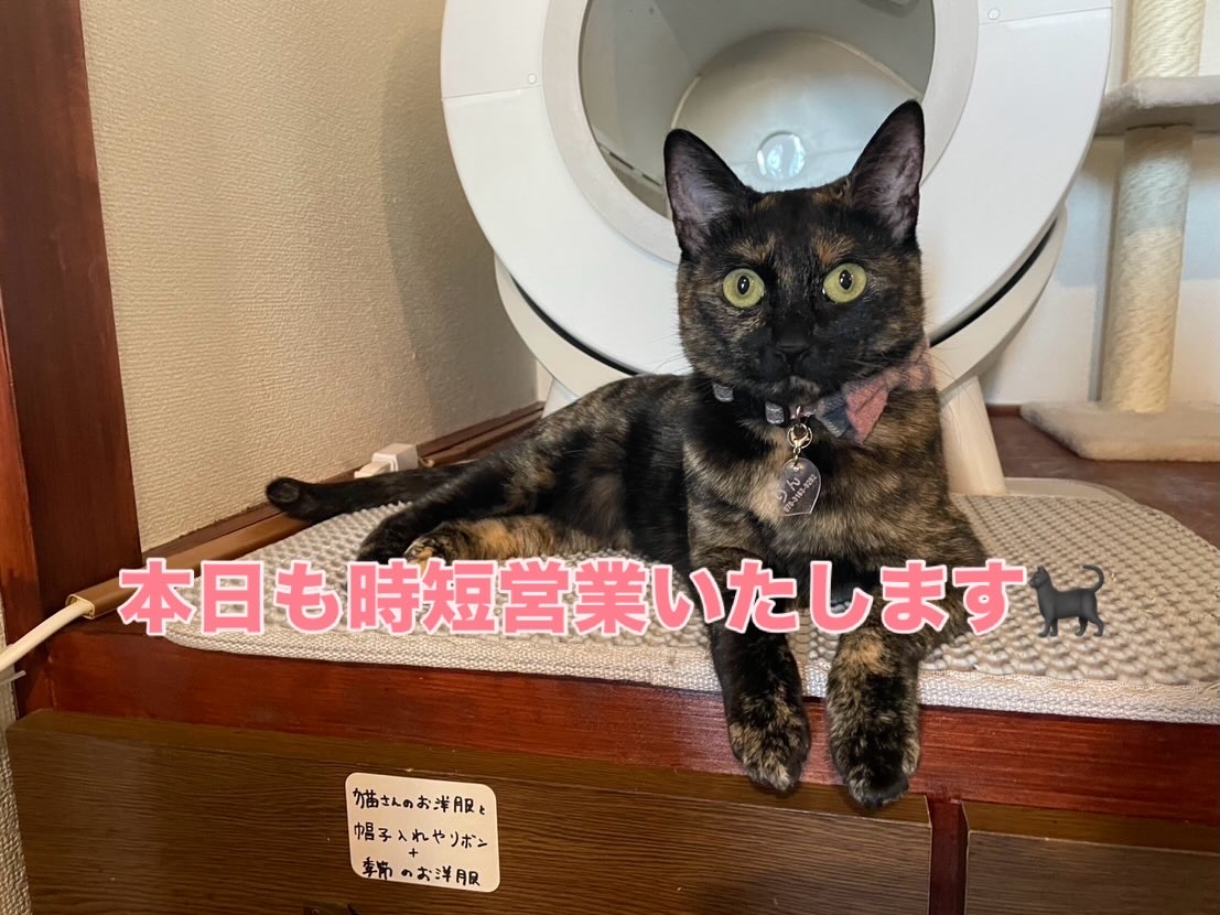 1月4日(時短営業)