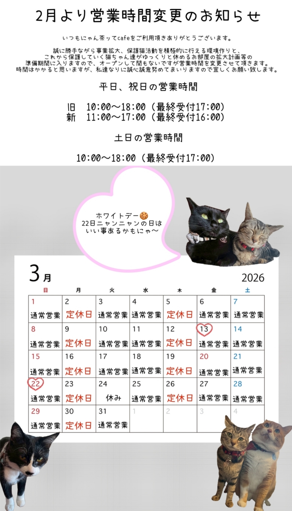 3月の営業カレンダーになります🐱