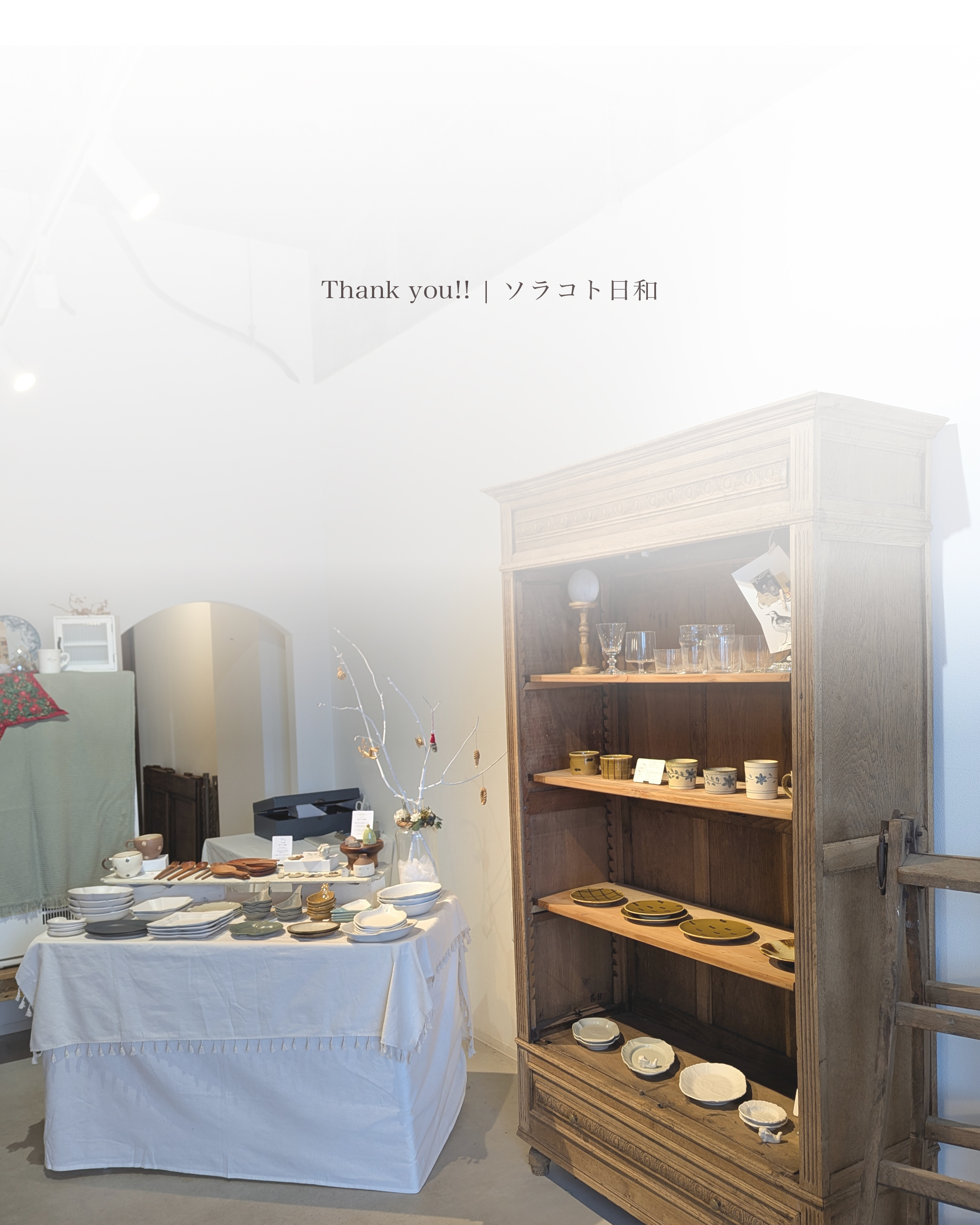 今年のソラコト日和◎