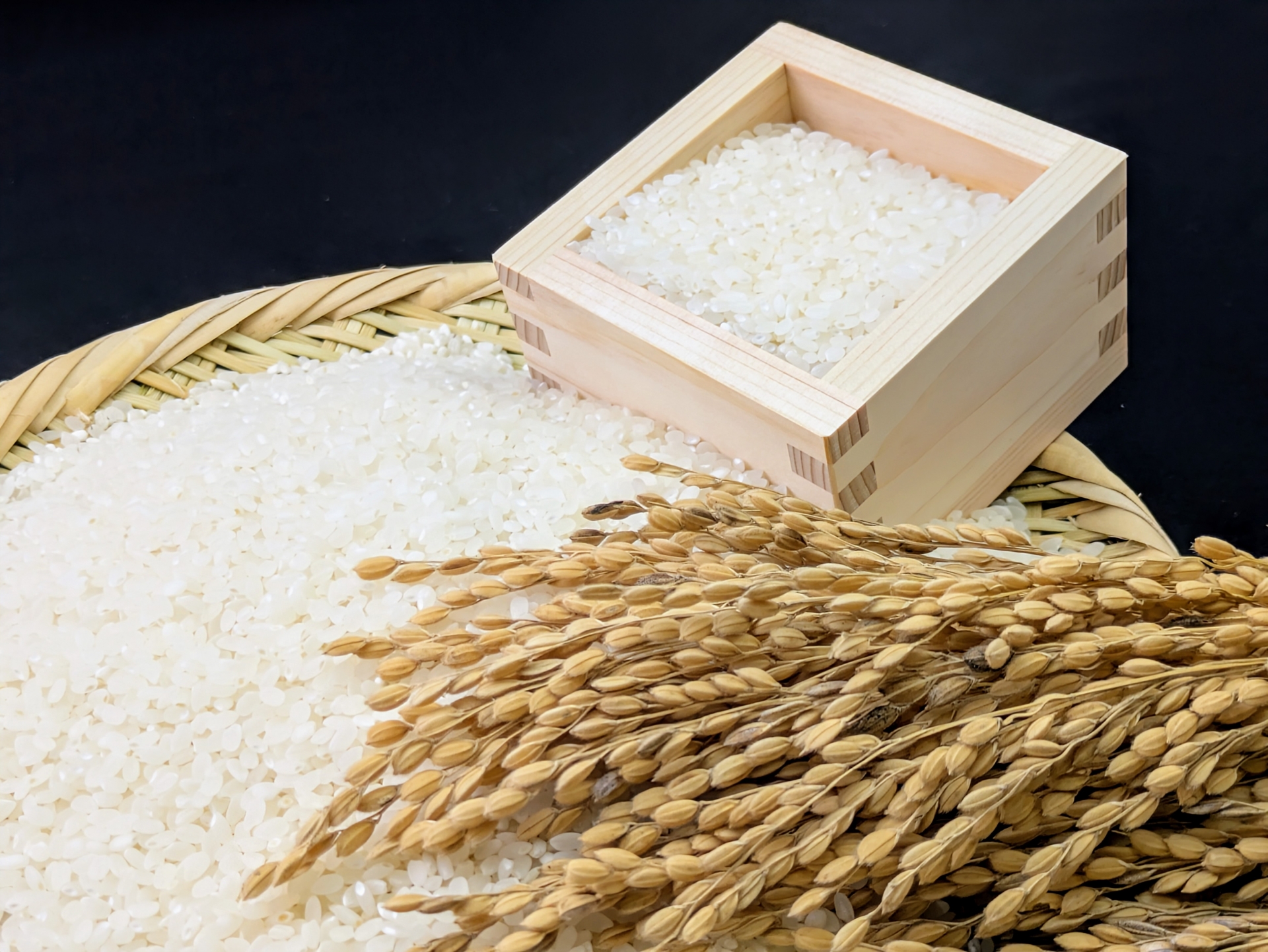 北海道のお米が、毎日のごはんを特別にする理由