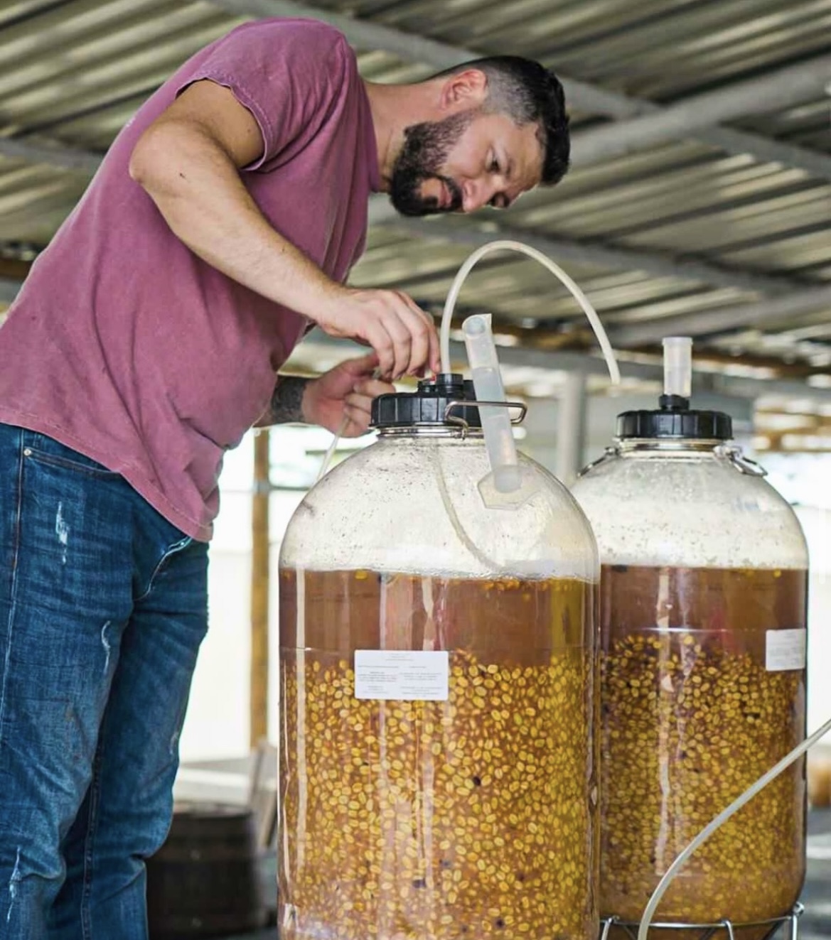 農園編 ( Milanについて )