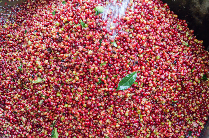 プロセス編 ( washedについて① )