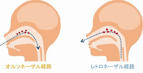 バリスタ編 (コーヒーのフレーバーについて)