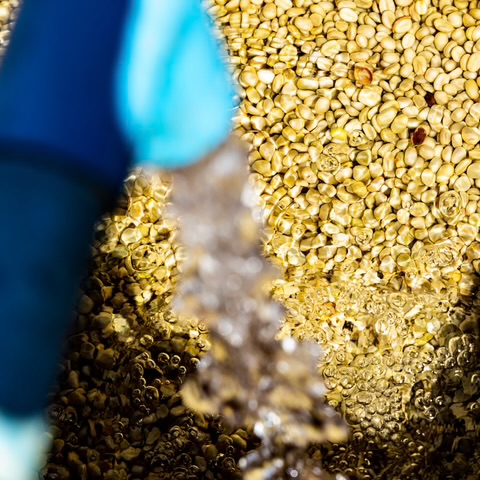 プロセス編 ( washedについて ② )