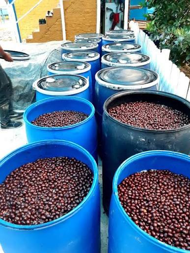 プロセス編(Anaerobicについて)