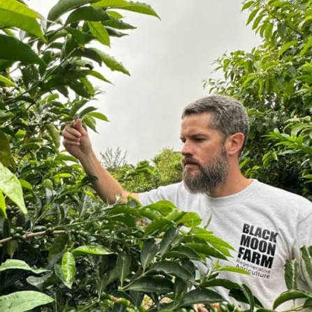 農園編 ( Panama Black Moonについて )