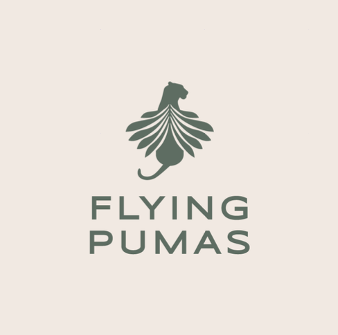 Panama Flying Pumasについて
