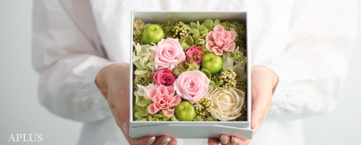 アプラス公式オンラインショップをオープンしました。