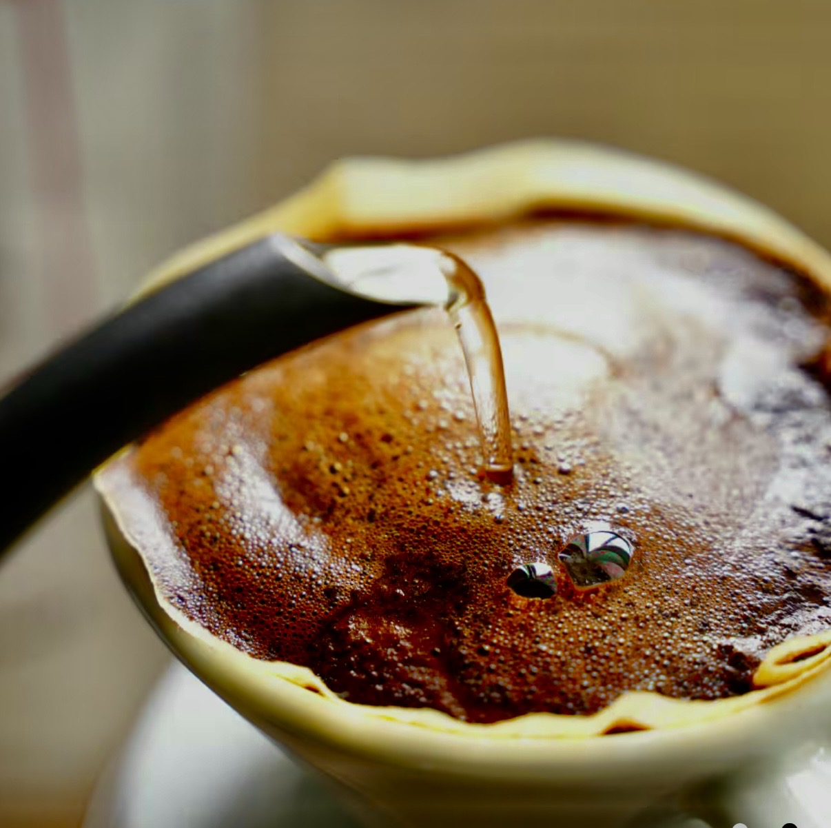 TsuMuGi焙煎士が薦めるおいしいコーヒーの淹れ方