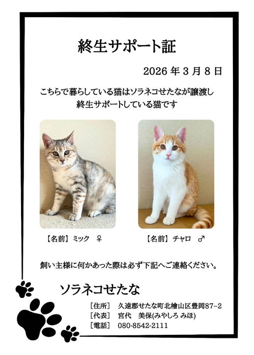 チャロ&ミックの日常