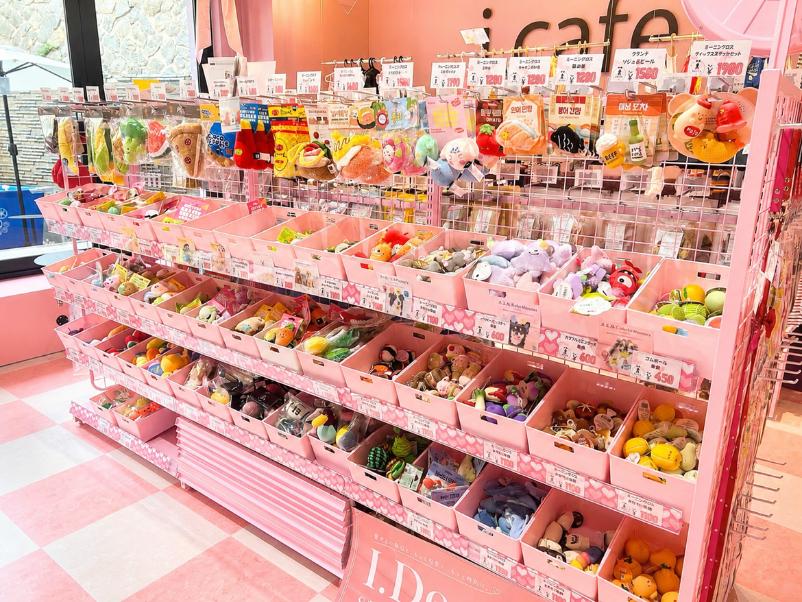 新商品が続々入荷！