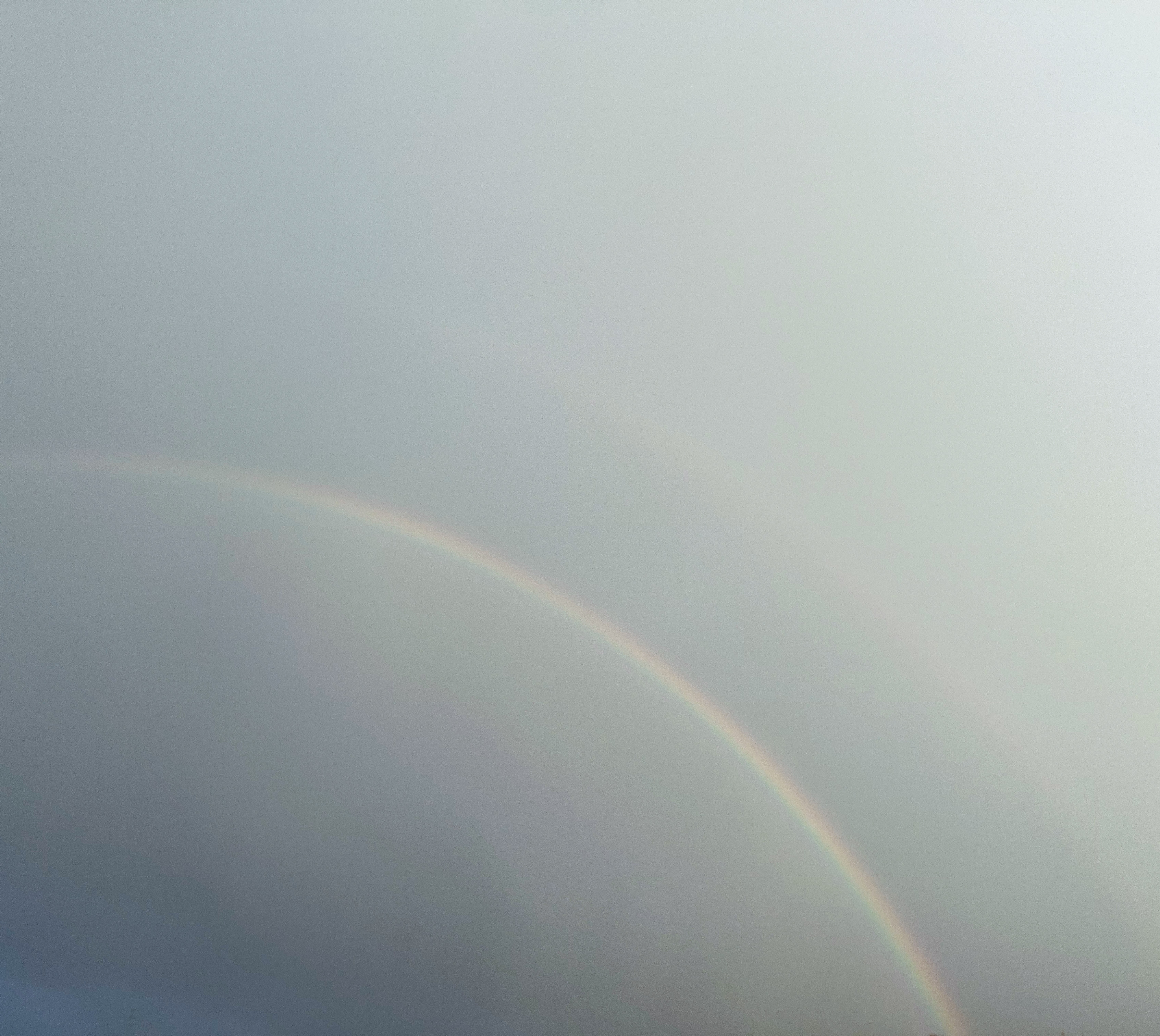 新作　約束のしるし