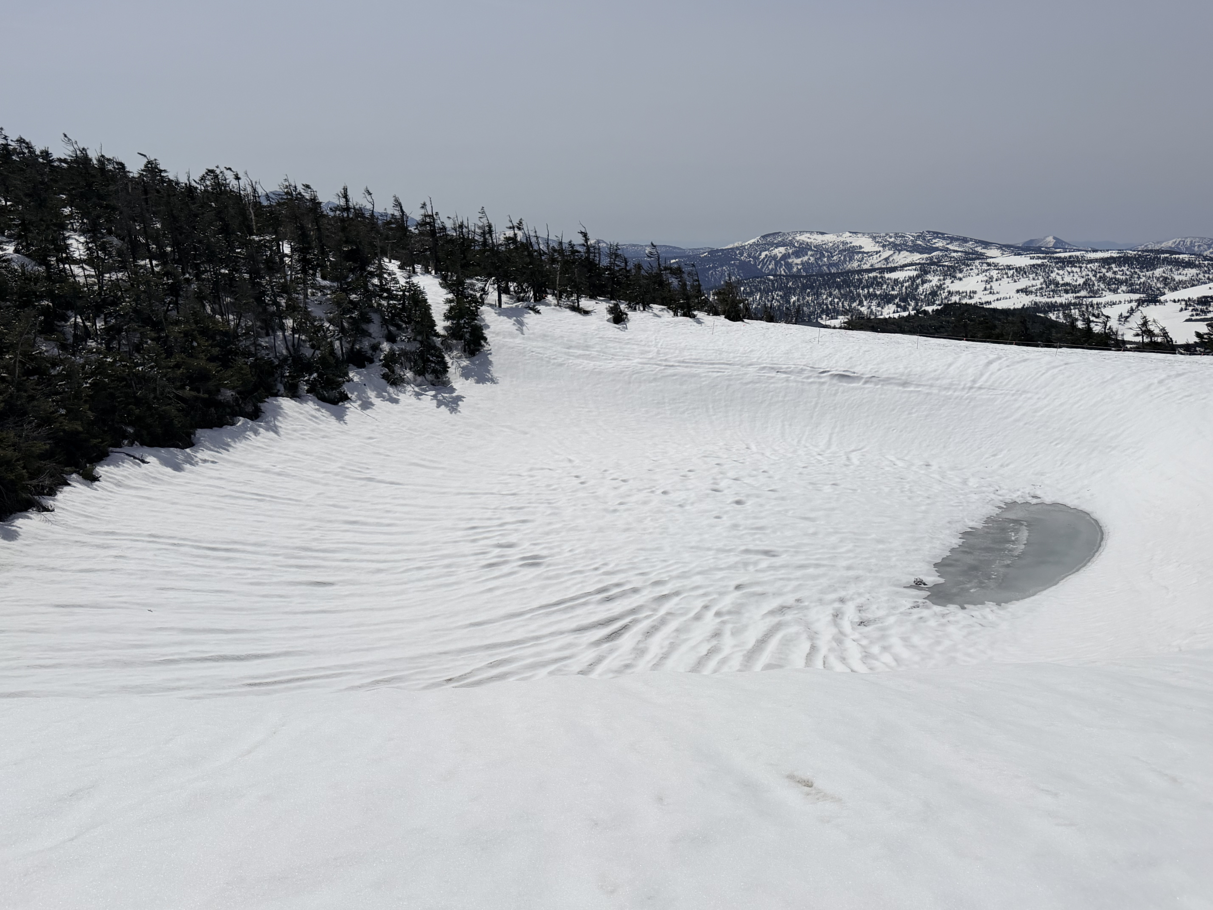 鏡沼の様子