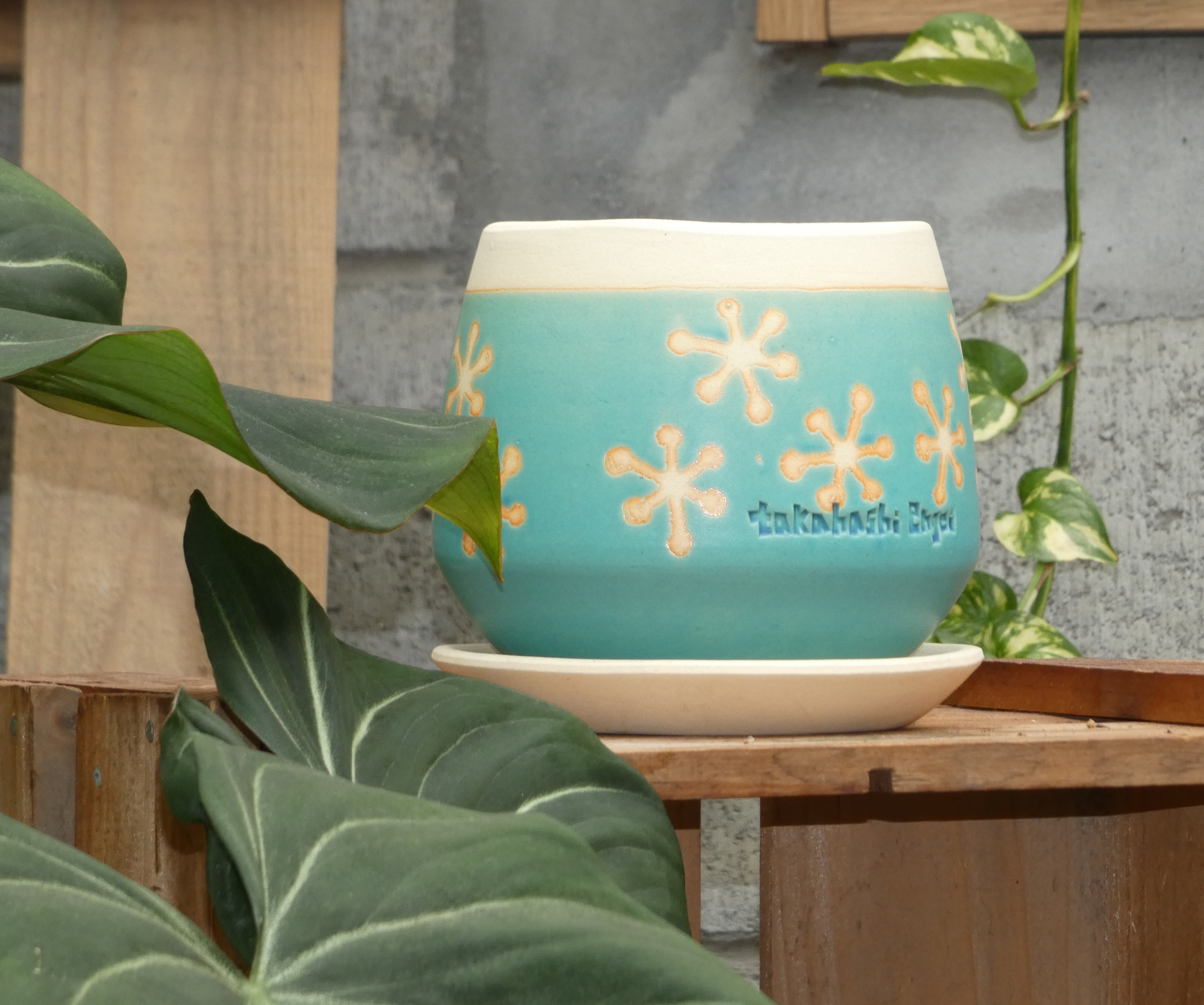 オリジナル鉢ついに完成!