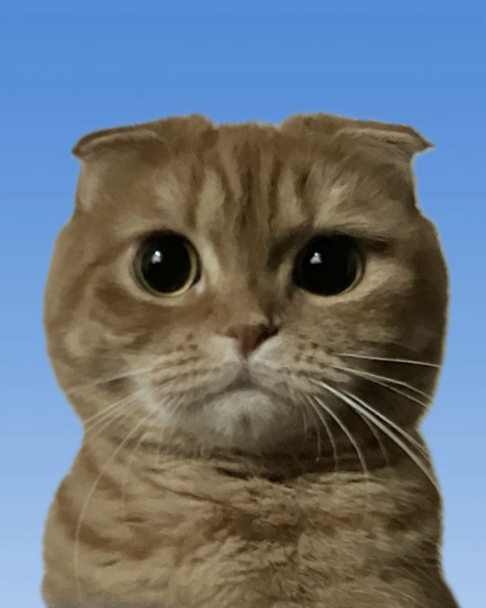 オーナー（とニャンコ）の自己紹介★FUNKSAPPORO