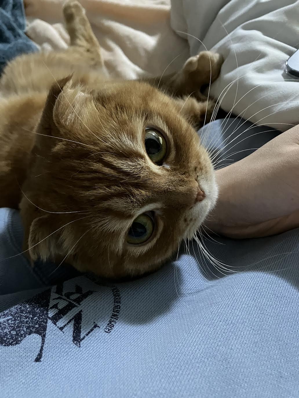 オンラインショップ先行オープン!FUNK SAPPORO