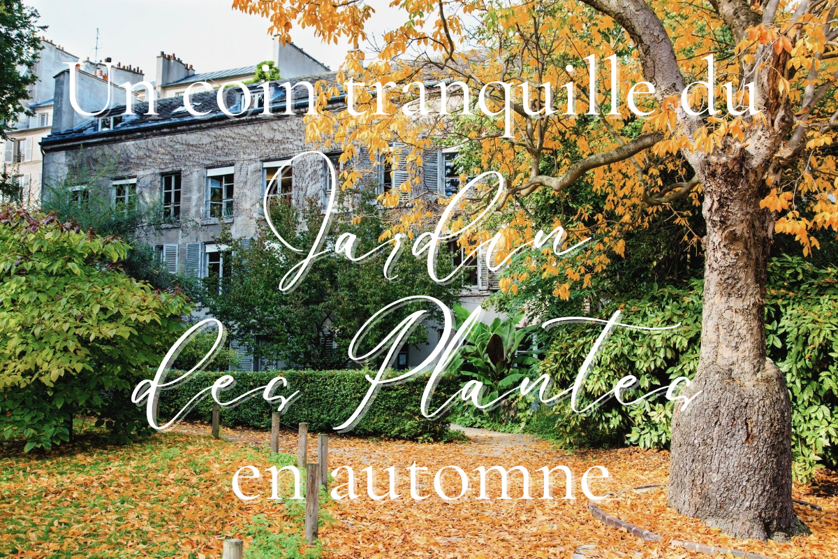 第二話|動物性素材を使わない選択