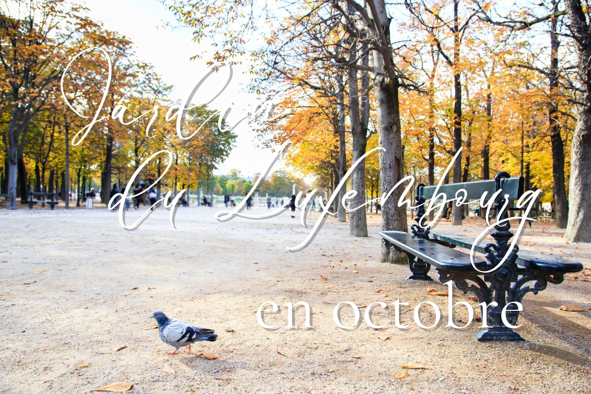 第三話|綿に込められた問いかけ