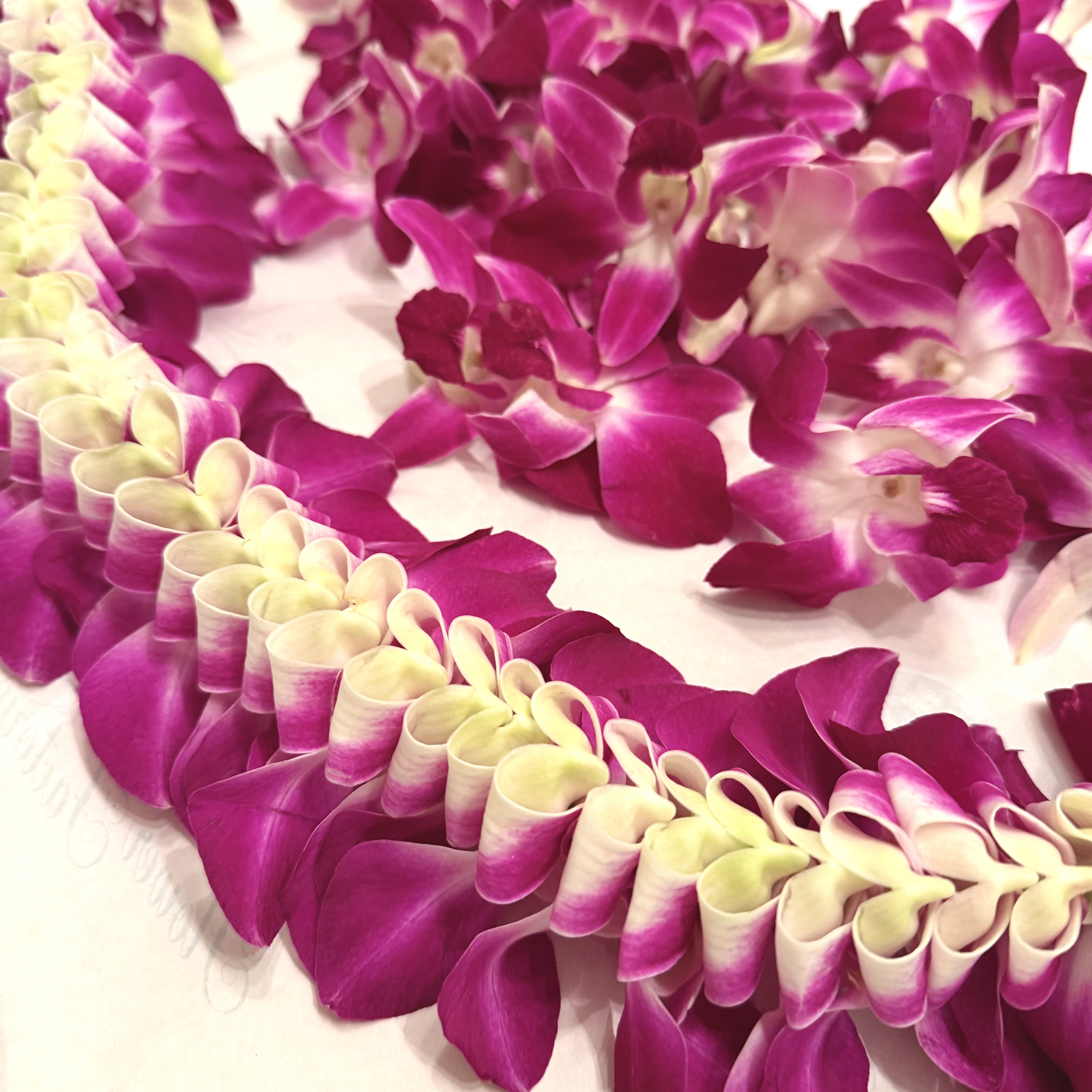 Hauʻoli lā hānau